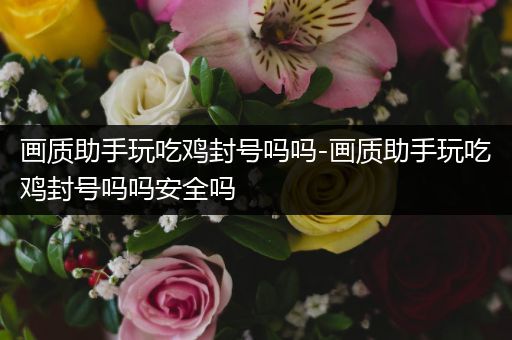 画质助手玩吃鸡封号吗吗-画质助手玩吃鸡封号吗吗安全吗