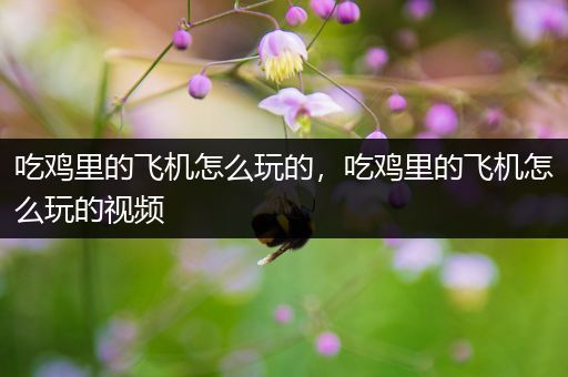 吃鸡里的飞机怎么玩的，吃鸡里的飞机怎么玩的视频