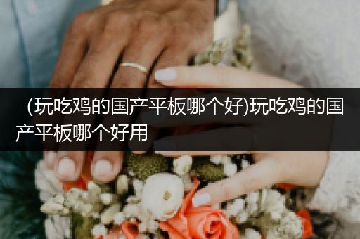 （玩吃鸡的国产平板哪个好)玩吃鸡的国产平板哪个好用