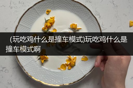 （玩吃鸡什么是撞车模式)玩吃鸡什么是撞车模式啊