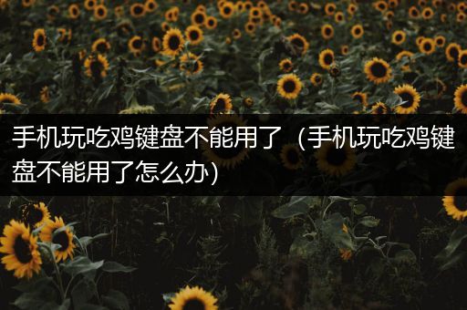 手机玩吃鸡键盘不能用了（手机玩吃鸡键盘不能用了怎么办）