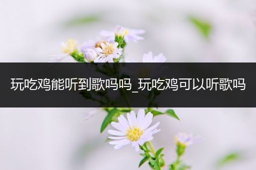 玩吃鸡能听到歌吗吗_玩吃鸡可以听歌吗