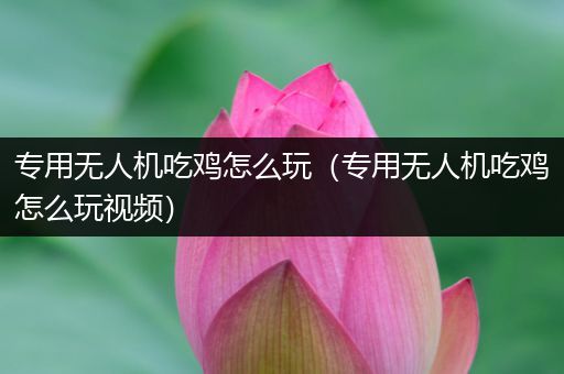 专用无人机吃鸡怎么玩（专用无人机吃鸡怎么玩视频）