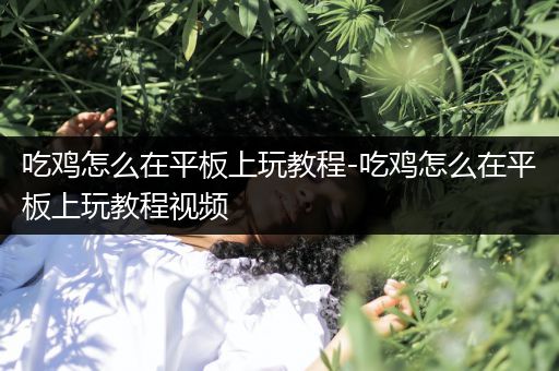 吃鸡怎么在平板上玩教程-吃鸡怎么在平板上玩教程视频