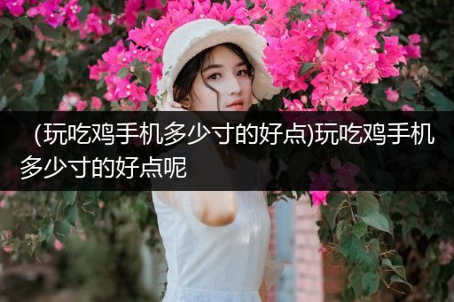 （玩吃鸡手机多少寸的好点)玩吃鸡手机多少寸的好点呢