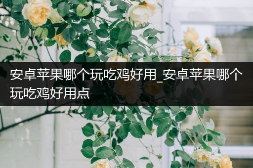 安卓苹果哪个玩吃鸡好用_安卓苹果哪个玩吃鸡好用点