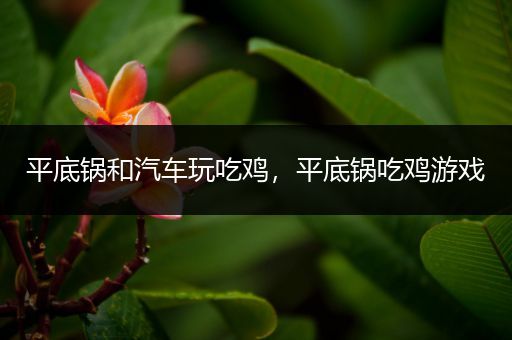 平底锅和汽车玩吃鸡，平底锅吃鸡游戏