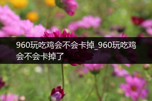 960玩吃鸡会不会卡掉_960玩吃鸡会不会卡掉了