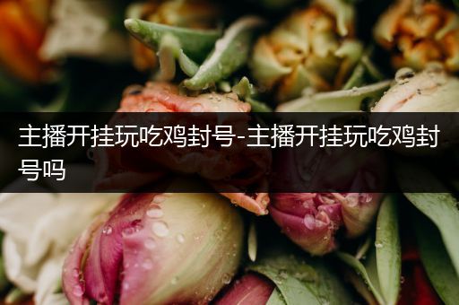主播开挂玩吃鸡封号-主播开挂玩吃鸡封号吗