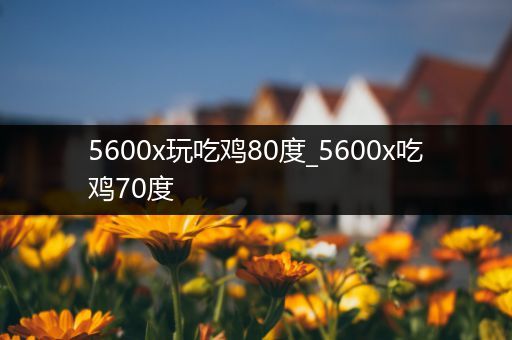 5600x玩吃鸡80度_5600x吃鸡70度