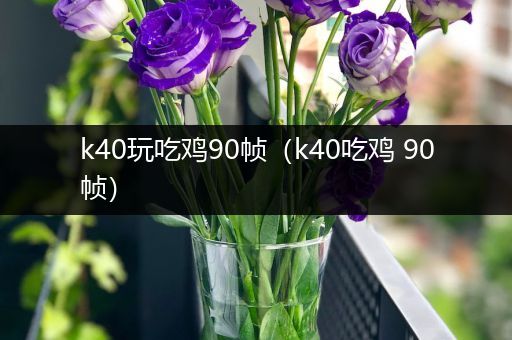 k40玩吃鸡90帧（k40吃鸡 90帧）