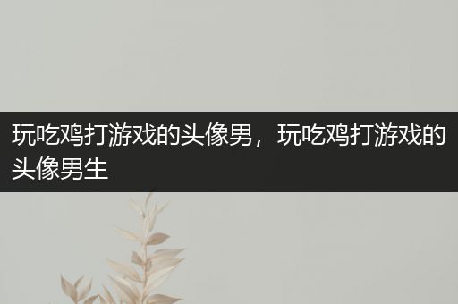 玩吃鸡打游戏的头像男，玩吃鸡打游戏的头像男生