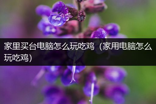 家里买台电脑怎么玩吃鸡（家用电脑怎么玩吃鸡）