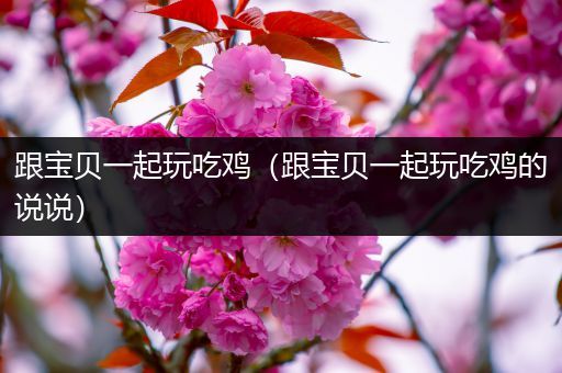 跟宝贝一起玩吃鸡（跟宝贝一起玩吃鸡的说说）