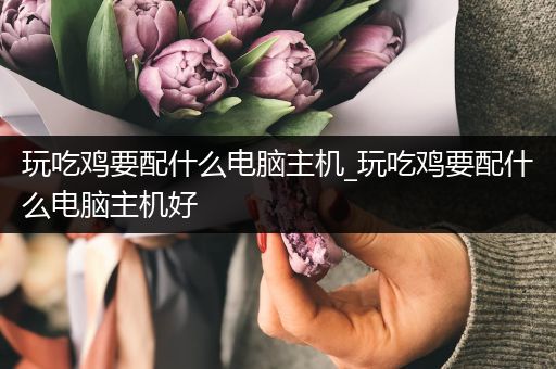 玩吃鸡要配什么电脑主机_玩吃鸡要配什么电脑主机好