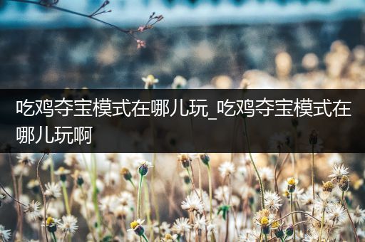 吃鸡夺宝模式在哪儿玩_吃鸡夺宝模式在哪儿玩啊
