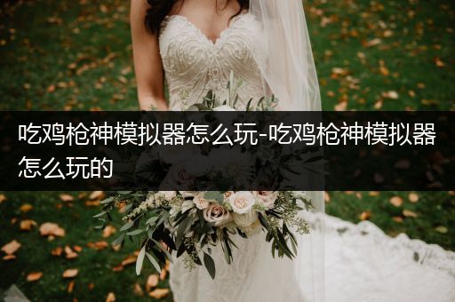 吃鸡枪神模拟器怎么玩-吃鸡枪神模拟器怎么玩的