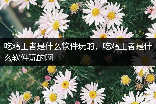 吃鸡王者是什么软件玩的，吃鸡王者是什么软件玩的啊