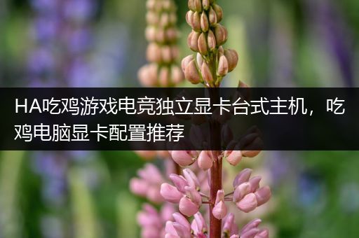 HA吃鸡游戏电竞独立显卡台式主机，吃鸡电脑显卡配置推荐