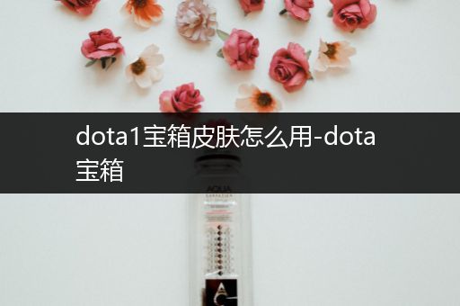 dota1宝箱皮肤怎么用-dota 宝箱