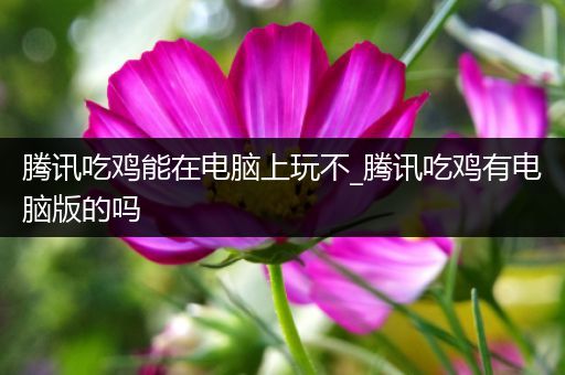 腾讯吃鸡能在电脑上玩不_腾讯吃鸡有电脑版的吗