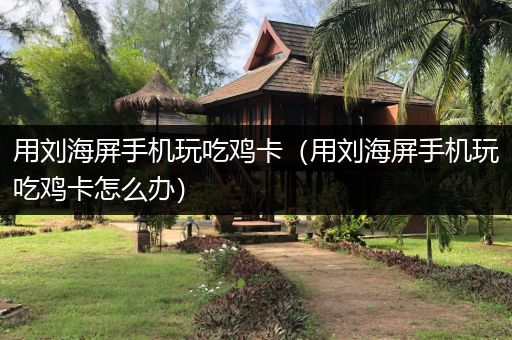 用刘海屏手机玩吃鸡卡（用刘海屏手机玩吃鸡卡怎么办）