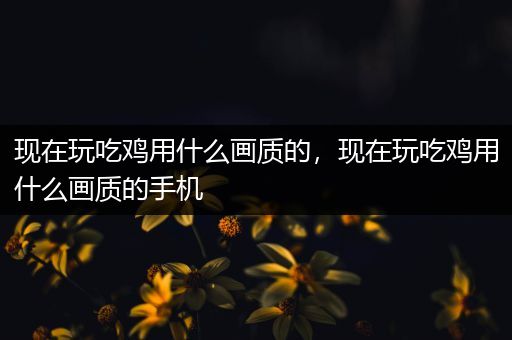 现在玩吃鸡用什么画质的，现在玩吃鸡用什么画质的手机
