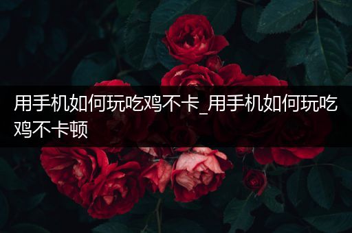 用手机如何玩吃鸡不卡_用手机如何玩吃鸡不卡顿