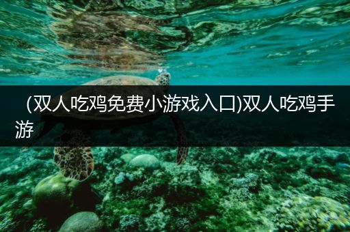 （双人吃鸡免费小游戏入口)双人吃鸡手游