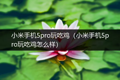 小米手机5pro玩吃鸡（小米手机5pro玩吃鸡怎么样）