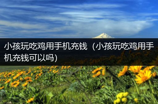小孩玩吃鸡用手机充钱（小孩玩吃鸡用手机充钱可以吗）