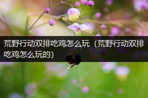 荒野行动双排吃鸡怎么玩（荒野行动双排吃鸡怎么玩的）