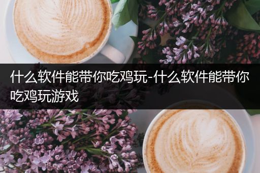 什么软件能带你吃鸡玩-什么软件能带你吃鸡玩游戏