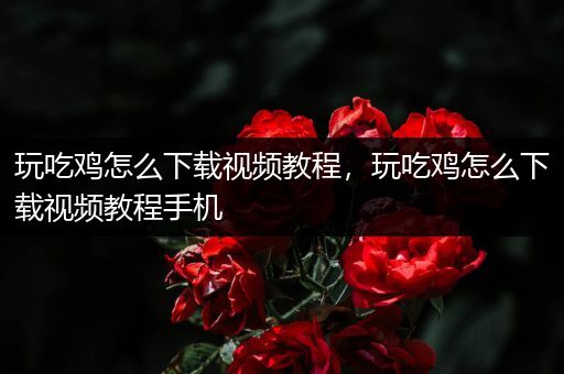 玩吃鸡怎么下载视频教程，玩吃鸡怎么下载视频教程手机