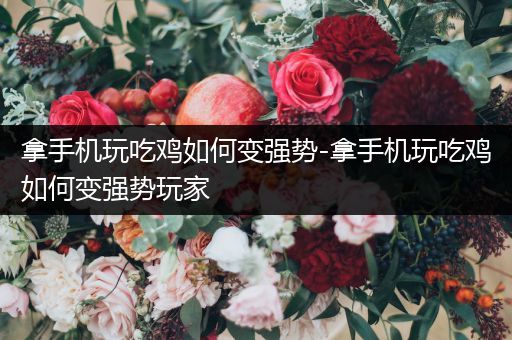 拿手机玩吃鸡如何变强势-拿手机玩吃鸡如何变强势玩家