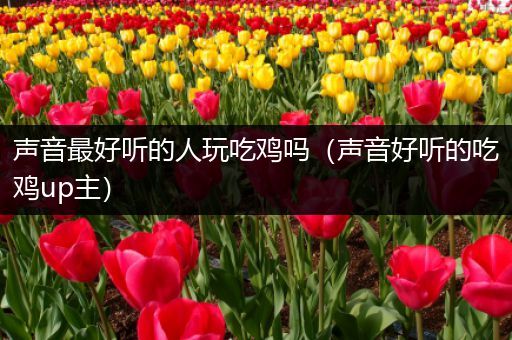 声音最好听的人玩吃鸡吗（声音好听的吃鸡up主）