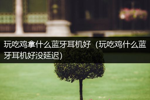 玩吃鸡拿什么蓝牙耳机好（玩吃鸡什么蓝牙耳机好没延迟）