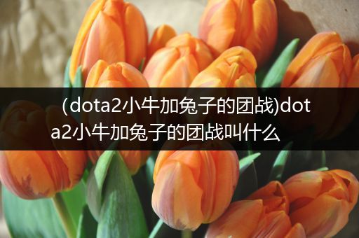 （dota2小牛加兔子的团战)dota2小牛加兔子的团战叫什么