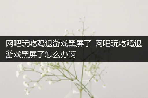 网吧玩吃鸡退游戏黑屏了_网吧玩吃鸡退游戏黑屏了怎么办啊