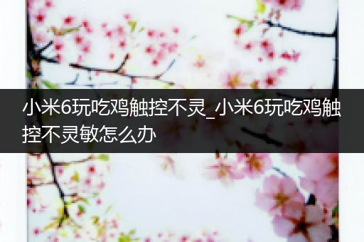 小米6玩吃鸡触控不灵_小米6玩吃鸡触控不灵敏怎么办