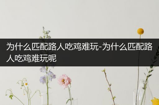 为什么匹配路人吃鸡难玩-为什么匹配路人吃鸡难玩呢