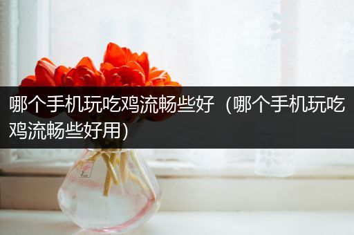 哪个手机玩吃鸡流畅些好（哪个手机玩吃鸡流畅些好用）