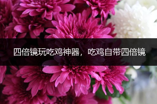 四倍镜玩吃鸡神器，吃鸡自带四倍镜