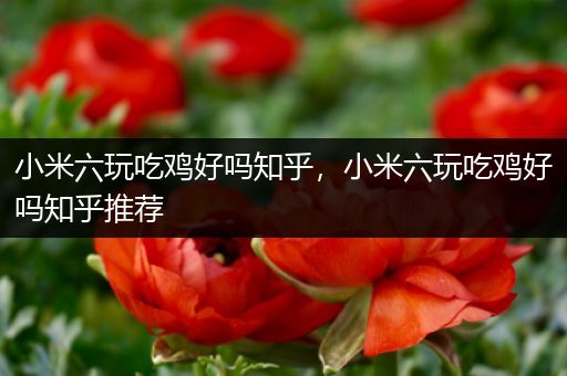 小米六玩吃鸡好吗知乎，小米六玩吃鸡好吗知乎推荐
