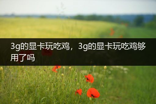 3g的显卡玩吃鸡，3g的显卡玩吃鸡够用了吗