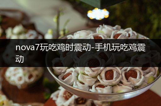 nova7玩吃鸡时震动-手机玩吃鸡震动