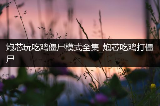 炮芯玩吃鸡僵尸模式全集_炮芯吃鸡打僵尸