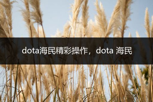 dota海民精彩操作，dota 海民