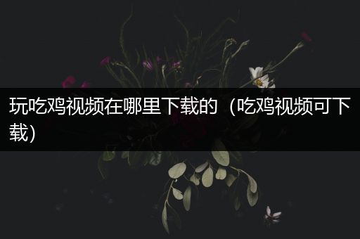 玩吃鸡视频在哪里下载的（吃鸡视频可下载）