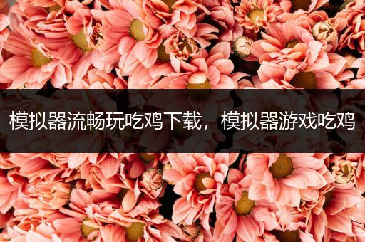 模拟器流畅玩吃鸡下载，模拟器游戏吃鸡